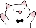 :yaycat@mk.absturztau.be:
