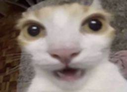 :horror@eepy.zone: