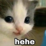 :hehe@labyrinth.zone: