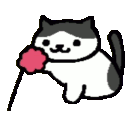 :catplay@eepy.zone: