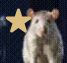 :ratstar@lea.pet: