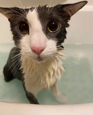 :the_soggy_way@labyrinth.zone:
