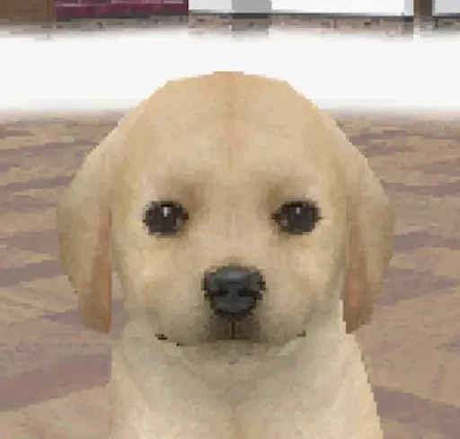 :thenpcsinhitmanwhenyouthrowabrickacrosstheroomtodistracthem@eepy.moe: