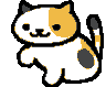 :cat_attack@notfire.cc: