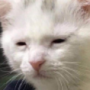:awake_but_at_what_cost@void.rehab: