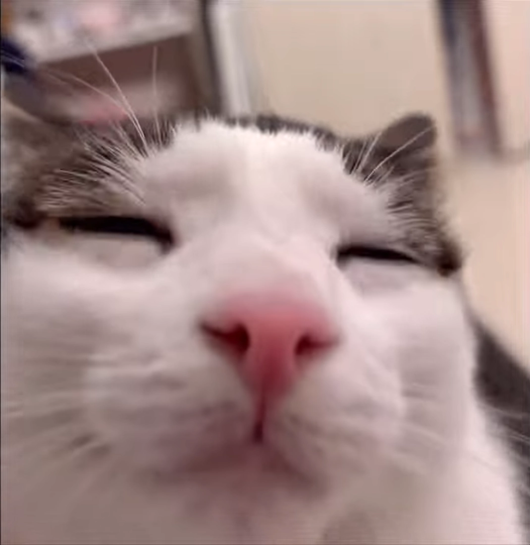 :awake_but_real@void.rehab: