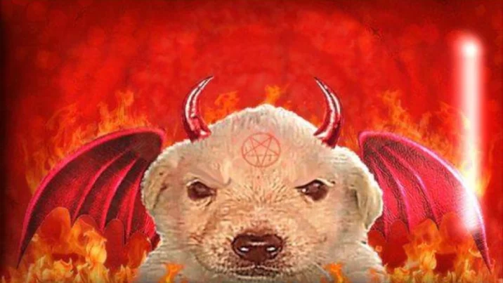 :evil_labrador@eepy.zone: